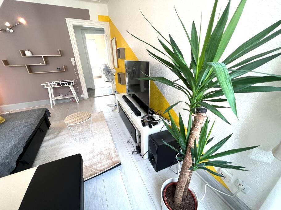 Apartamento Lumiere Secrete Mulhouse Centre Parking Tram Exterior foto